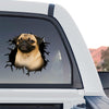 Cute Pug  For Laptop decal showcased clearly on the rear window of a truck outdoors.