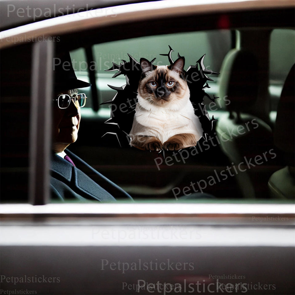 Adorable Ragdoll Cat vinyl sticker displayed cleanly on a sleek car door.