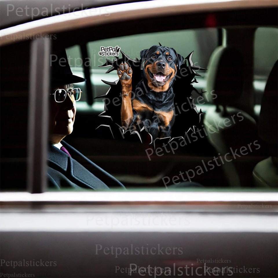 Playful Rottweiler dog sticker installed smoothly on the exterior car door panel.