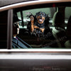 Playful Rottweiler dog sticker installed smoothly on the exterior car door panel.