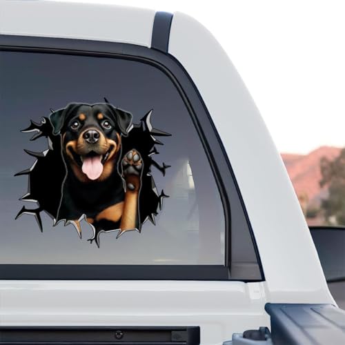 Standalone product design of a happy Rottweiler bursting through a hole decal for car windows.