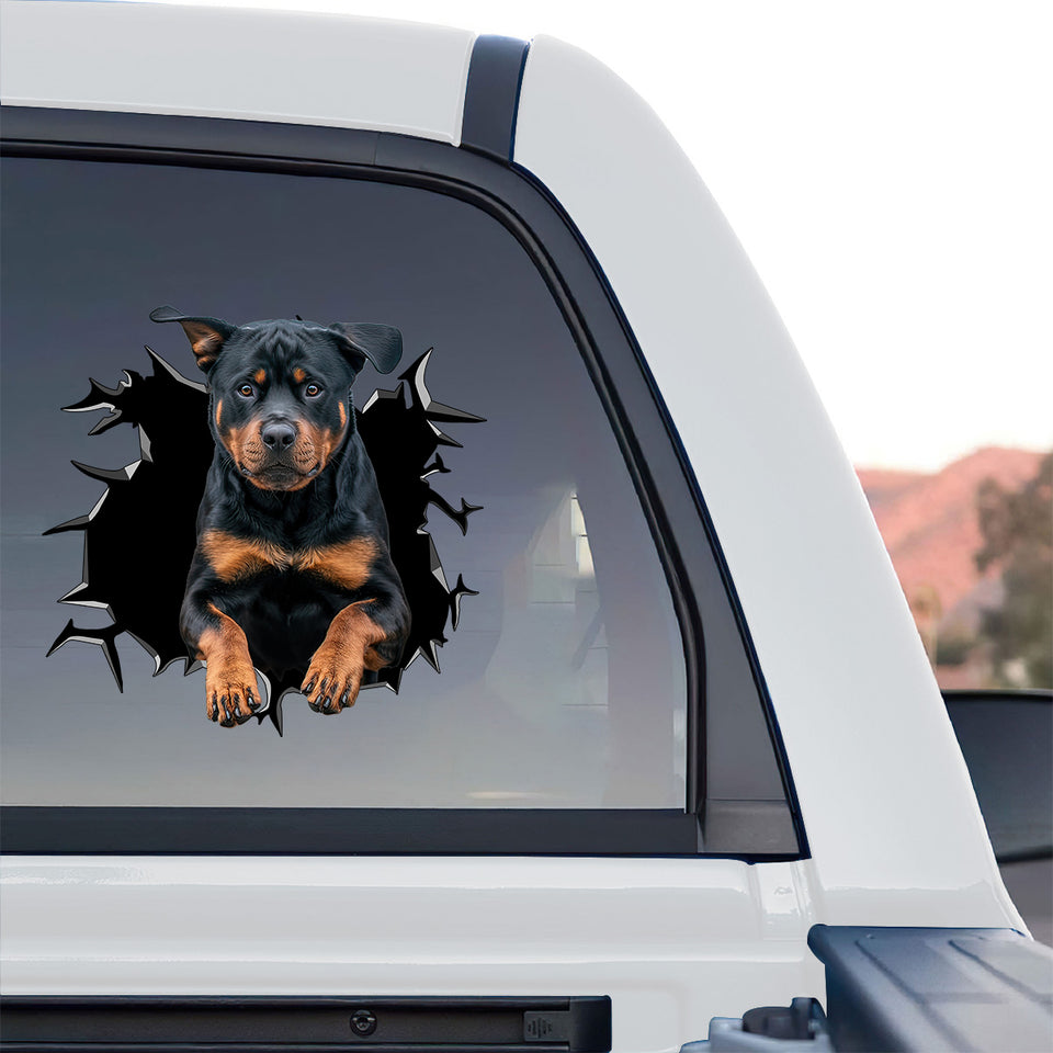 Vibrant dog decal featuring a Rottweiler mounted on the rear glass of a truck.