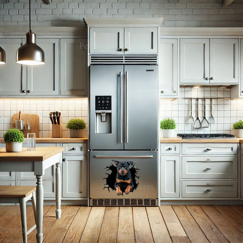 Clear vinyl Rottweiler decal adding canine personality to a kitchen refrigerator.