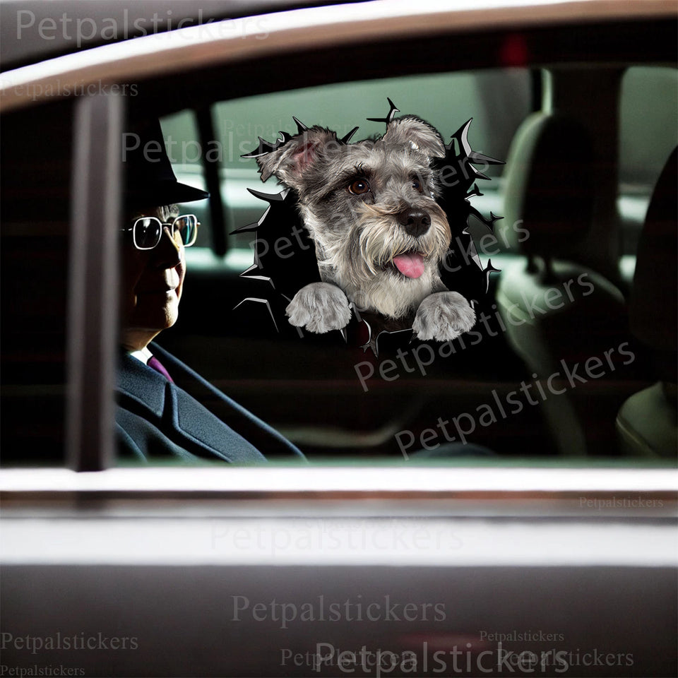 Vibrant Schnauzer vinyl sticker displayed prominently on the side of a white car door.