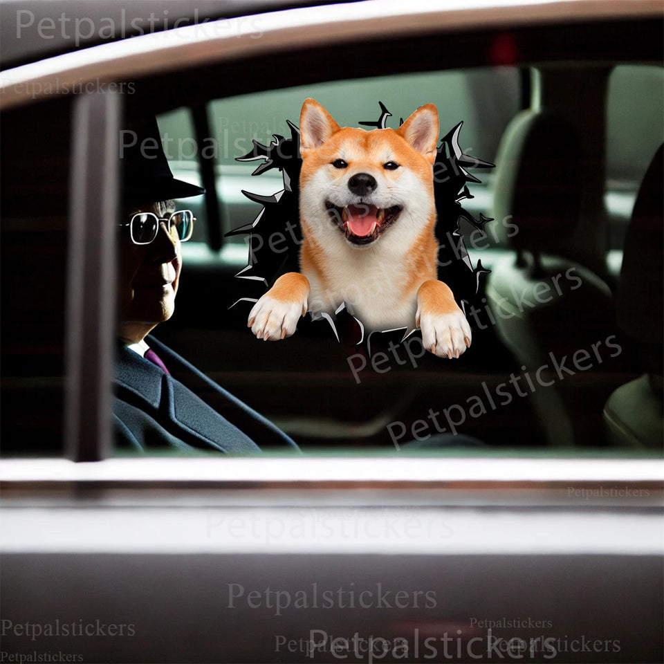 Glossy Shiba Inu vinyl decal applied smoothly onto the clean exterior car door of a white vehicle.