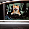 Glossy Shiba Inu vinyl decal applied smoothly onto the clean exterior car door of a white vehicle.
