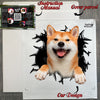 Protective decal package including an authentic Shiba Inu sticker with clear application instructions.