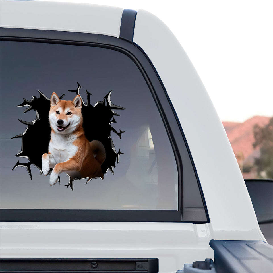 Vibrant Shiba Inu cracked window graphic decal displayed on the rear window of a truck.