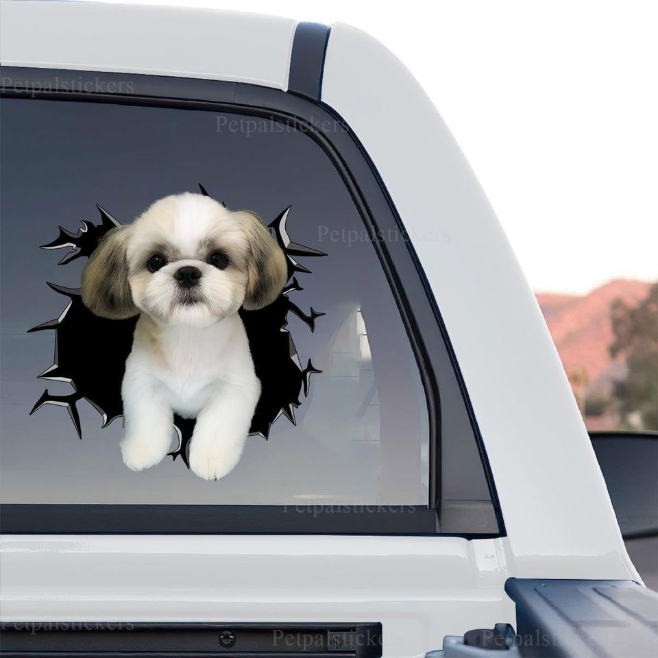 Shih Tzu graphic decal shown as a standalone product design on transparent backing