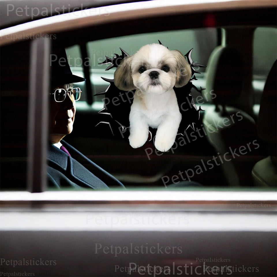 Cute Shih Tzu vinyl sticker applied smoothly to an exterior car door surface