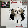 Carefully prepared Shih Tzu car decal package with clear instructions inside