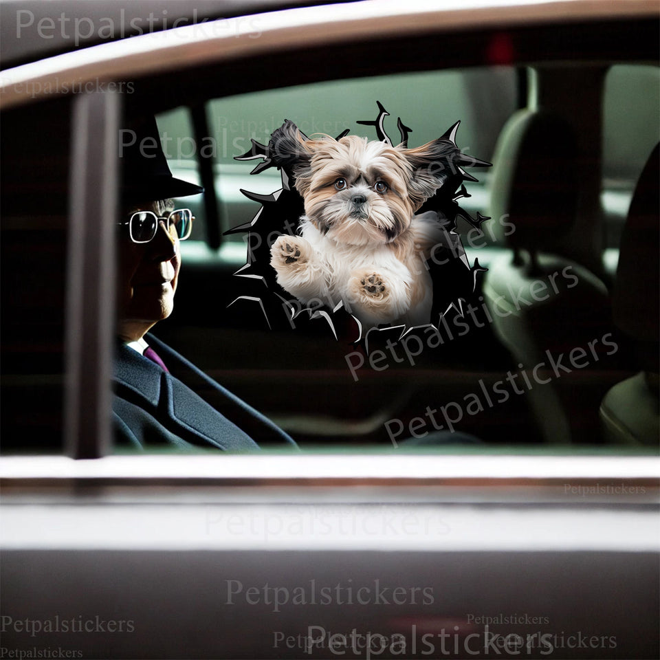 Vibrant Shih Tzu pet graphic decal applied to the exterior car door of a white sedan.