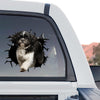 Detailed Shih Tzu Vinyl graphic decal shown as a standalone product design on transparent film.