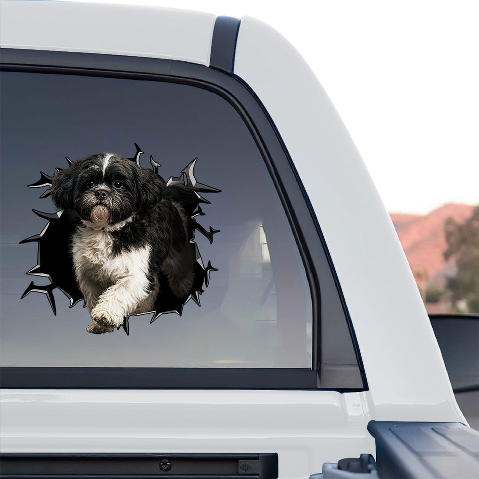 Vibrant Shih Tzu Vinyl graphic sticker installed on the back window of a truck.