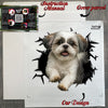 Secure cardboard package with application instructions included alongside the Shihtzu decal.