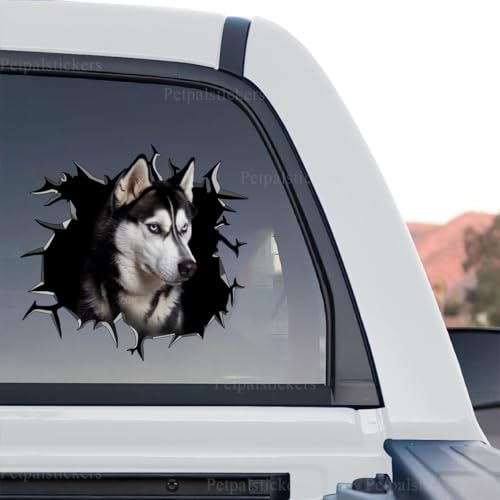 Clear vinyl Siberian Husky standalone product design featuring vibrant outdoor waterproof ink.