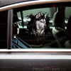 Glossy Siberian Husky decal displayed smoothly on an exterior car door surface.