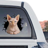 Sphynx Cat sticker artwork shown as a standalone product design on a clear background.
