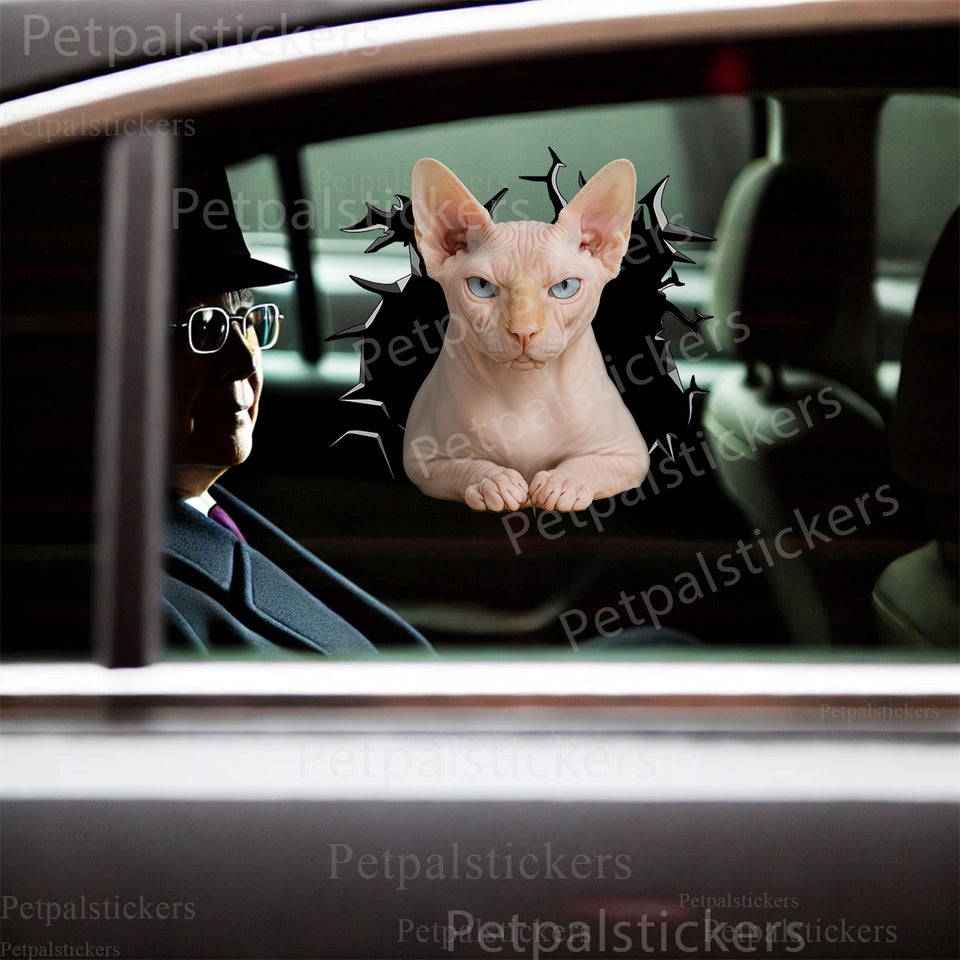 Vibrant Sphynx Cat decal displayed prominently on a white car door exterior.