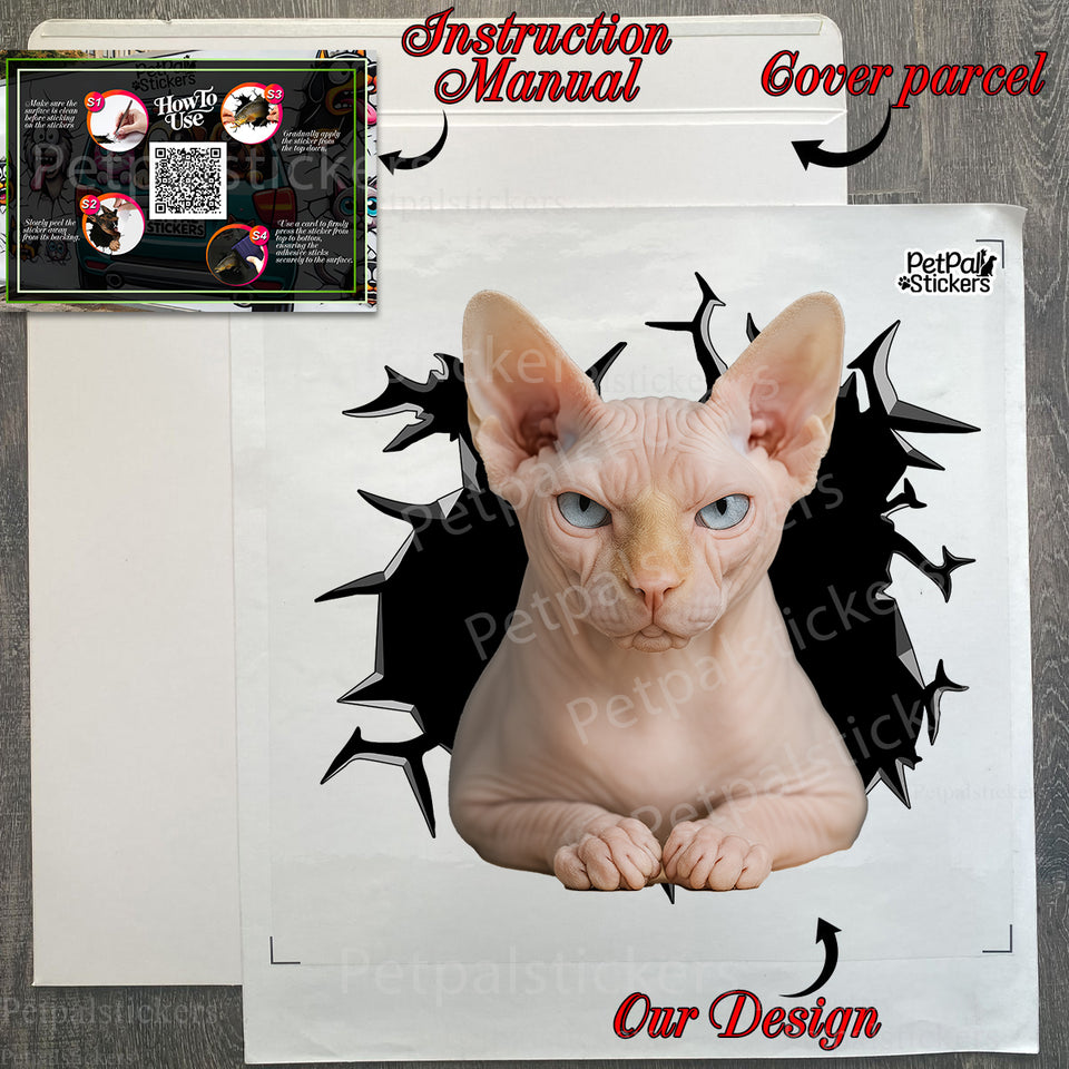 Unboxing the Sphynx Cat decal package complete with easy application instructions.