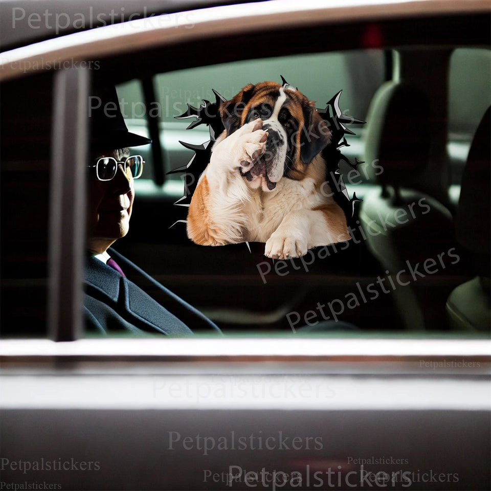 Cute St. Bernard graphic decal smoothly applied to a clean car door surface.
