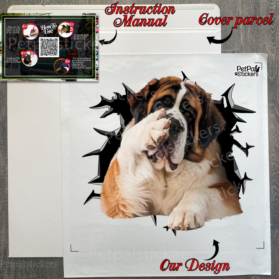 Protective cardboard package holding the St. Bernard vinyl decal and instructions.