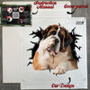Protective cardboard package holding the St. Bernard vinyl decal and instructions.