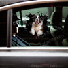 Vibrant St Bernard decal with gloss finish installed smoothly onto a car door exterior.