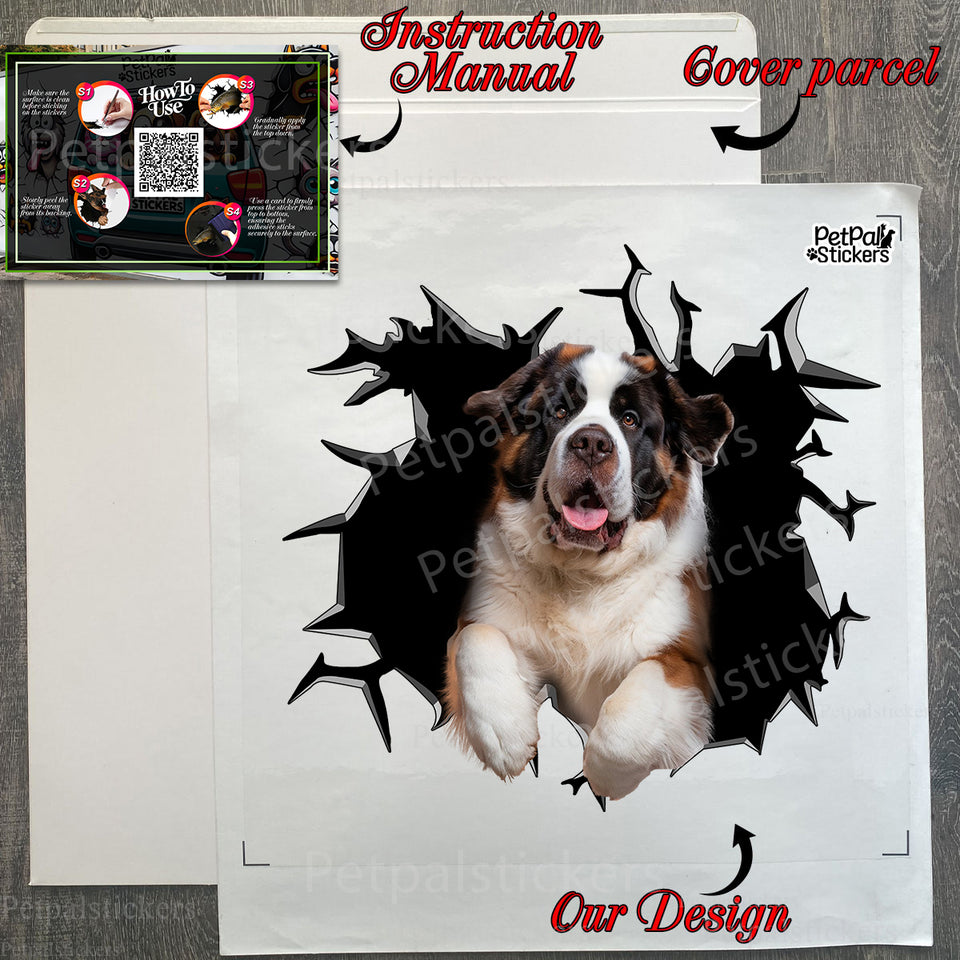 Protective package containing the 11x11 inch St Bernard decal with application instructions.
