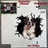Protective package containing the 11x11 inch St Bernard decal with application instructions.
