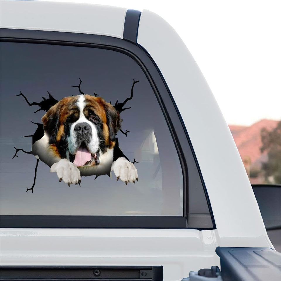 Clear standalone product design highlighting a detailed St. Bernards graphic with gloss finish.