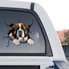 Clear standalone product design highlighting a detailed St. Bernards graphic with gloss finish.