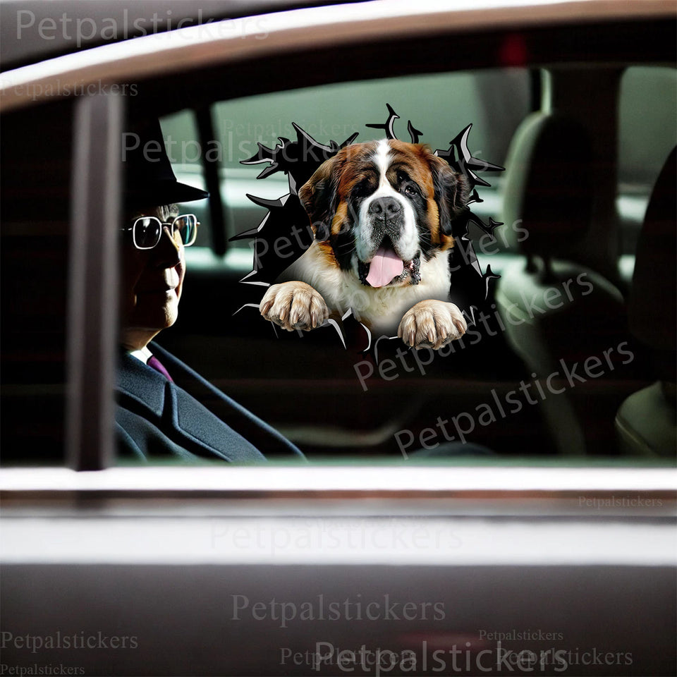 Vibrant St. Bernards decal showcased on the smooth metal exterior of a car door.