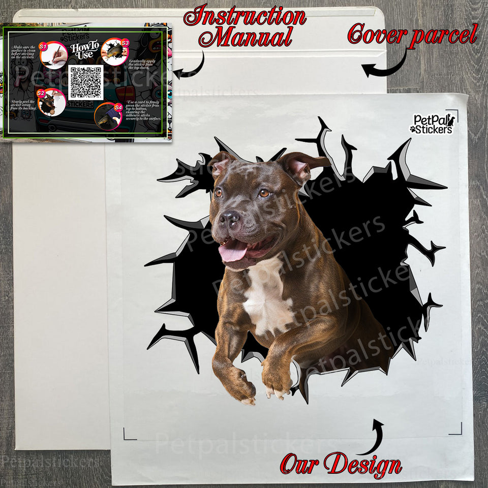 Unboxed dog decal sheet laid out next to the branded protective package.