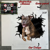 Unboxed dog decal sheet laid out next to the branded protective package.
