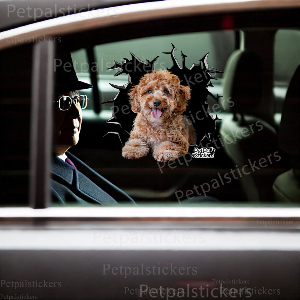Vibrant Standard Poodle dog sticker proudly displayed on a gloss white car door.