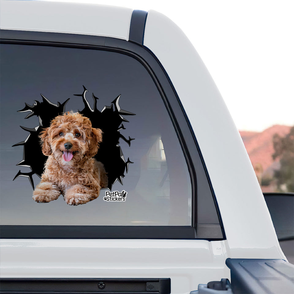 Outdoor rated Standard Poodle decal adhered to the rear window glass of a truck.