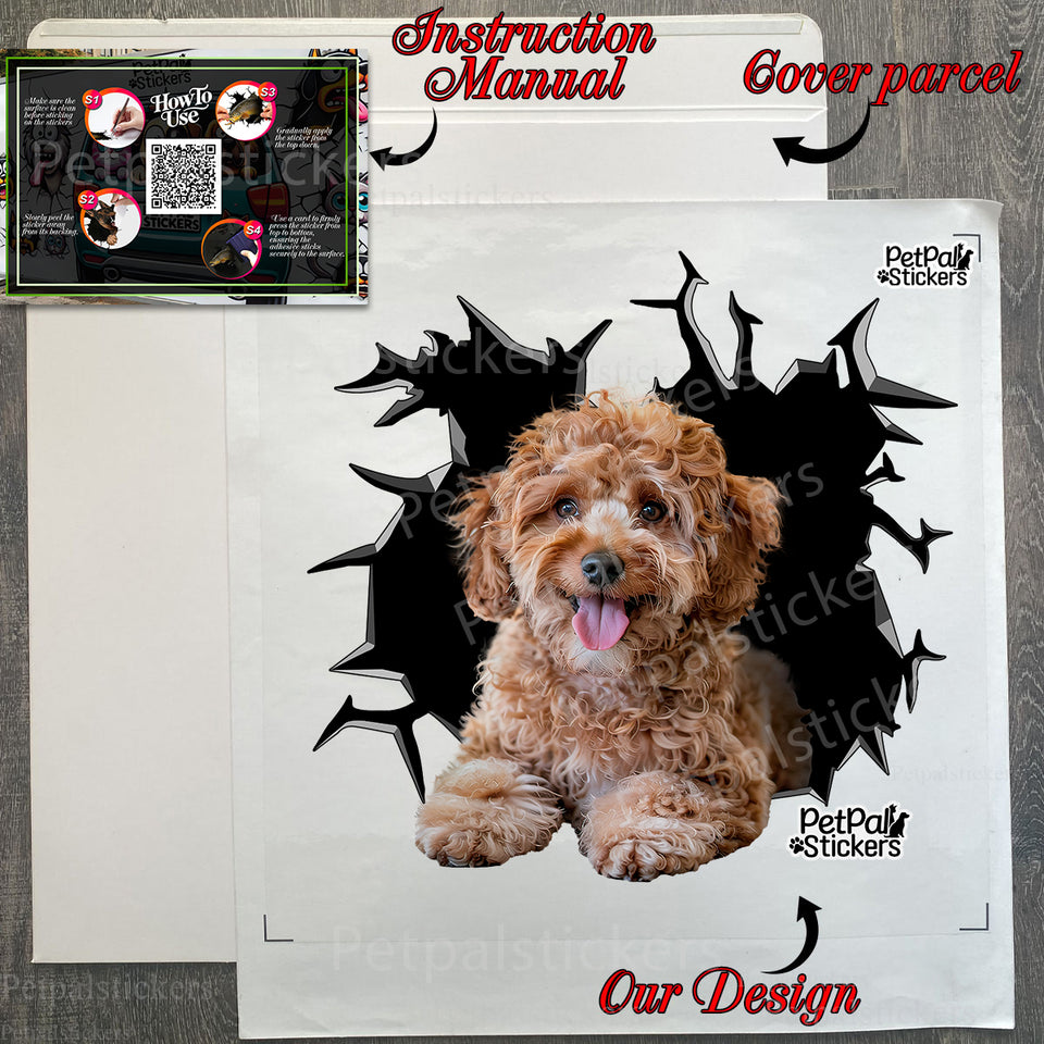 Unboxed Standard Poodle car decal laid out alongside protective product package and guide.
