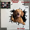 Unboxed Vizsla car sticker shown alongside its protective retail package.