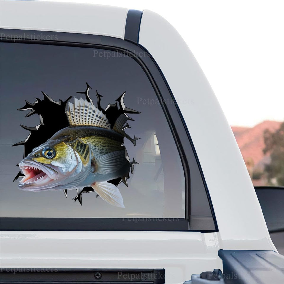 Detailed Walleye Fishing standalone product design graphic on clear vinyl film.