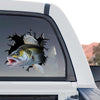 Detailed Walleye Fishing standalone product design graphic on clear vinyl film.