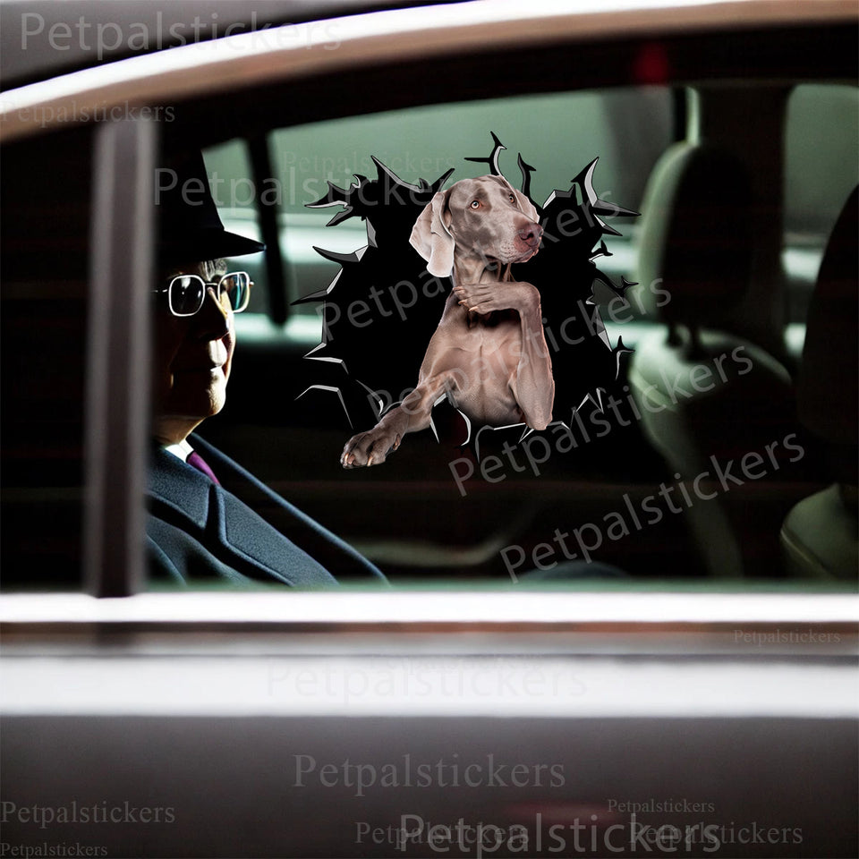 Charming Weimaraner vinyl sticker applied smoothly to the car door of an automobile.