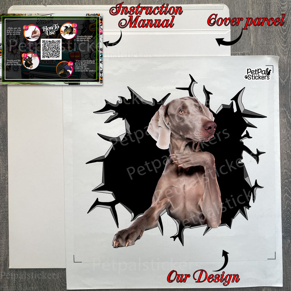 Protective packaging and boxed package containing the Weimaraner car decal with instructions.