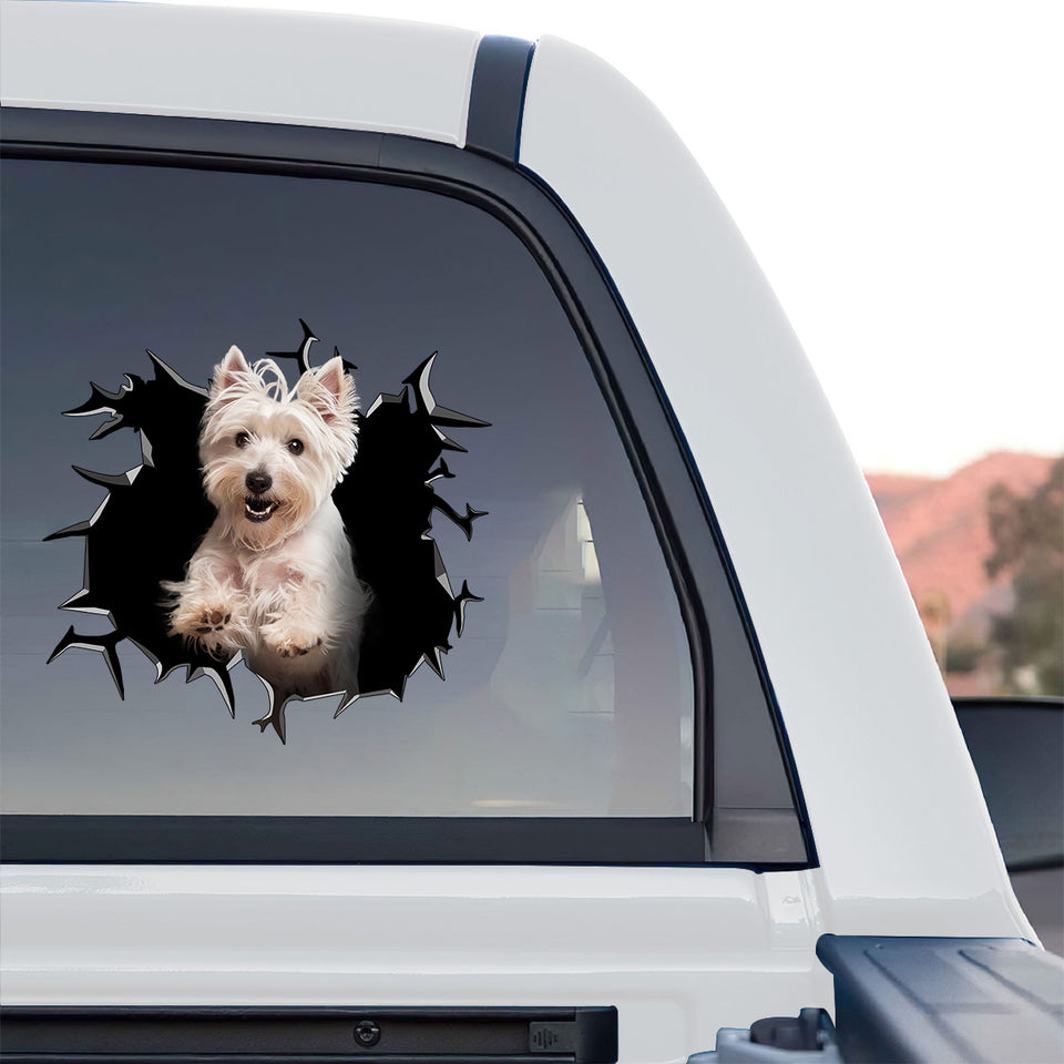 Vibrant West Highland White Terrier window decal displayed proudly on the rear glass of a truck.