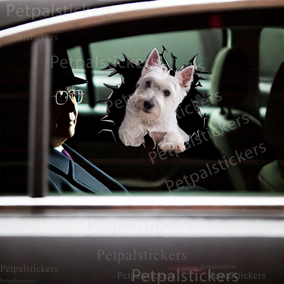 Cute West Highland White Terrier graphic decal displayed neatly on a white car door.