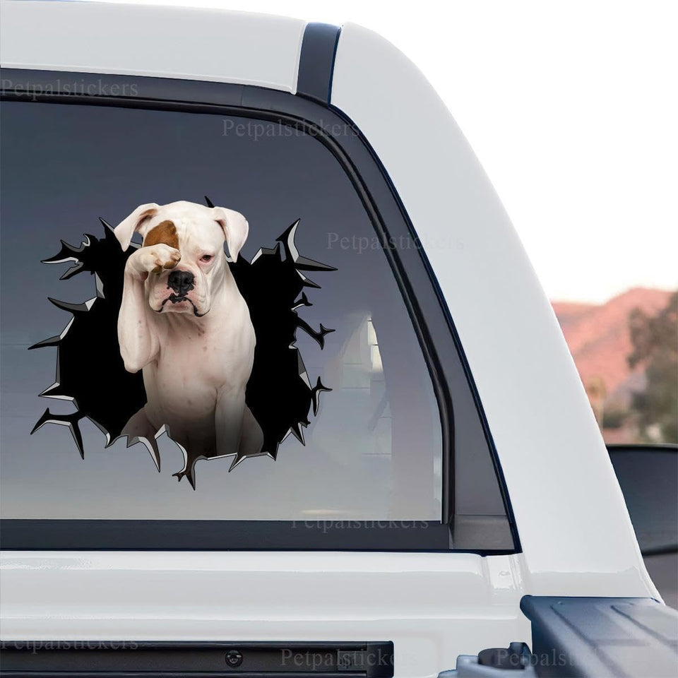 Standalone product design of the clear White Boxer Dog decal featuring detailed artwork.