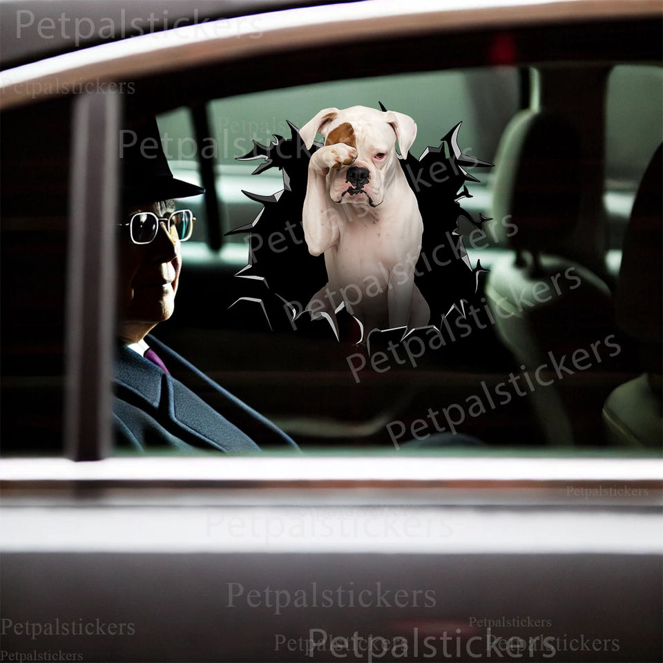 White Boxer Dog vinyl decal applied cleanly to the smooth exterior car door surface.