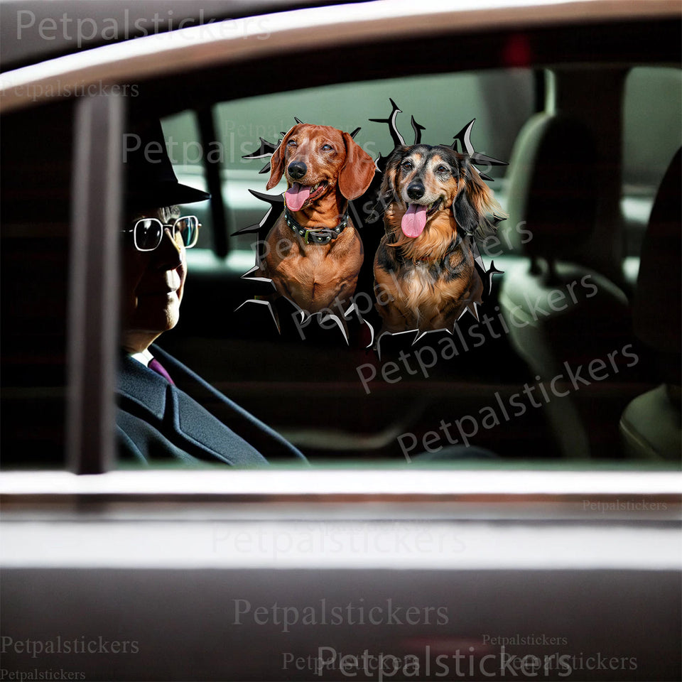 Detailed Wiener Dog graphic decal positioned cleanly on the smooth exterior metal car door.