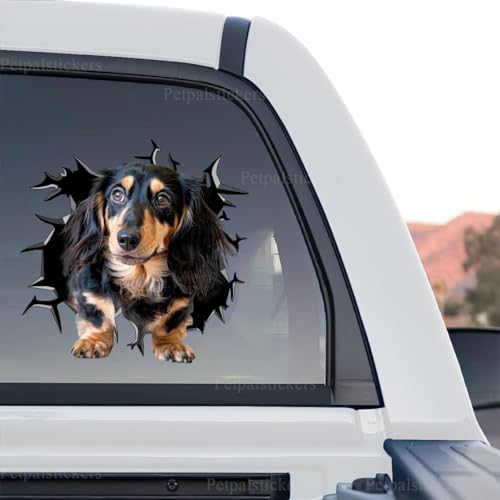 Detailed graphic Wiener Dog artwork showcased as a standalone product design on transparent vinyl.