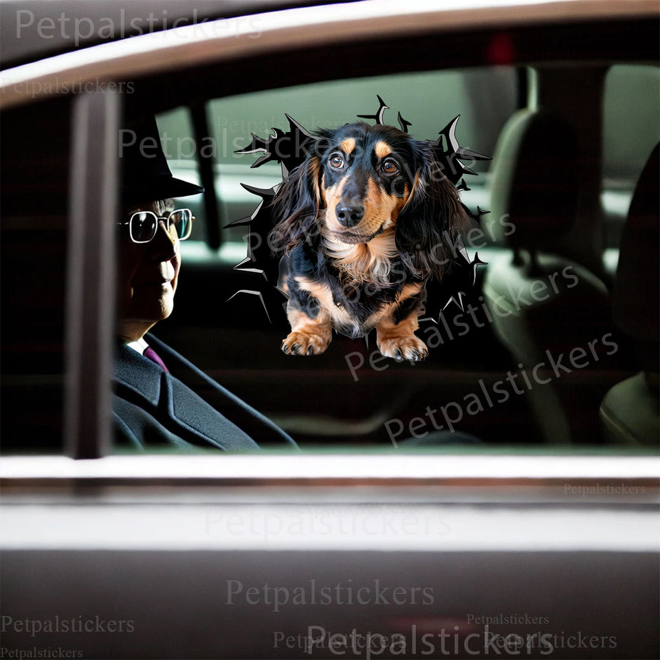 Glossy Wiener Dog graphic decal positioned smoothly on a white car door surface.